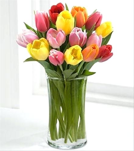 Florero de 18 tulipanes – Flores a Domicilio