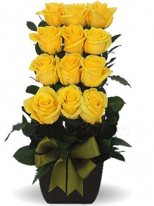 Escalonado con 12 rosas amarillas – Flores a Domicilio