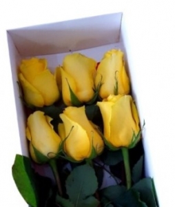 Caja con 6 rosas Amarillas – Flores a Domicilio