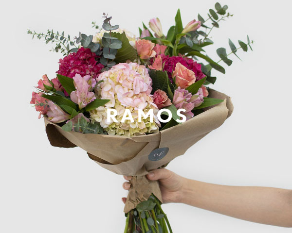 Ramos de Flores, Flores a Domicilio